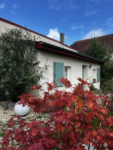 maisonnette avec cheminee et bain nordique privatif, gite pour deux, cosy, romantique,cocooning, spa privatif